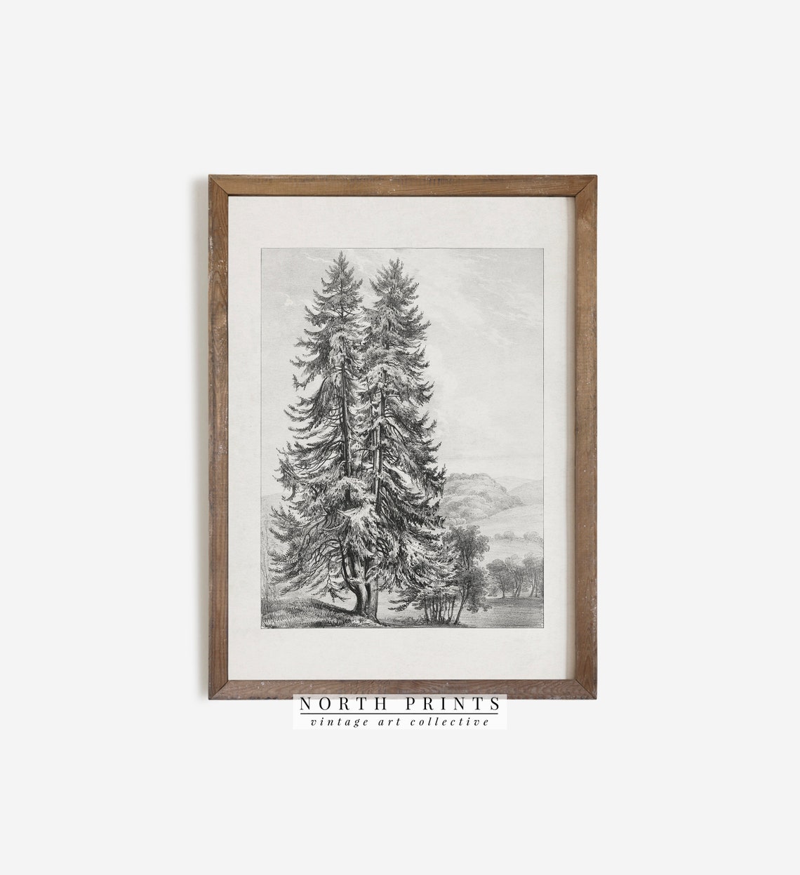 Rustic Pine Tree Landscape Vintage Sketch Wall Art North Prints Shop Sk263 - Image 2