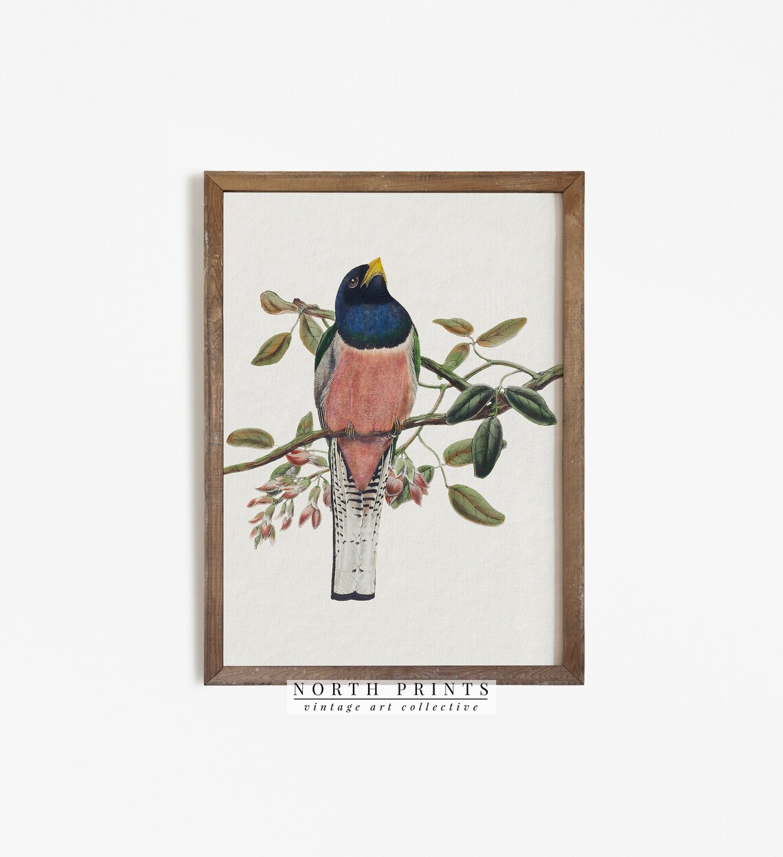 Vintage Bird Nursery Art, Country Farmhouse Print