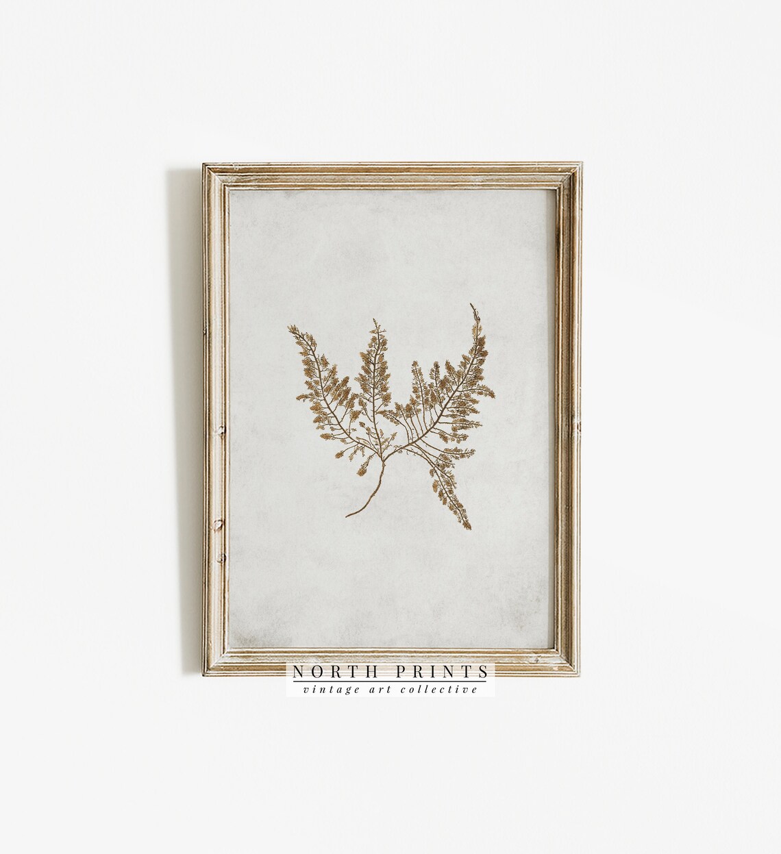 Vintage Fern Botanical Art Print, Farmhouse Decor - Image 2