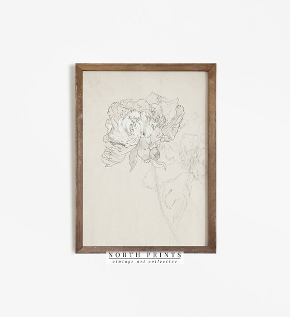 Flower Sketch Vintage Botanical Line Drawing Art Print