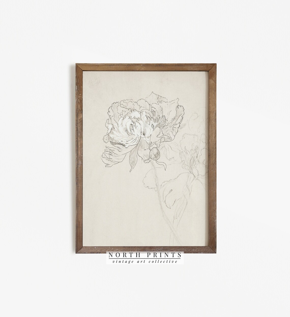Flower Sketch Vintage Botanical Line Drawing Art Print