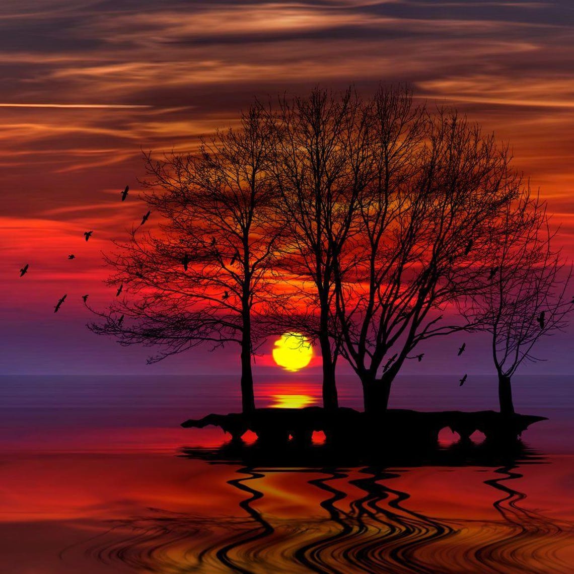 Exultant Sunset - Sky Art Print - Image 2