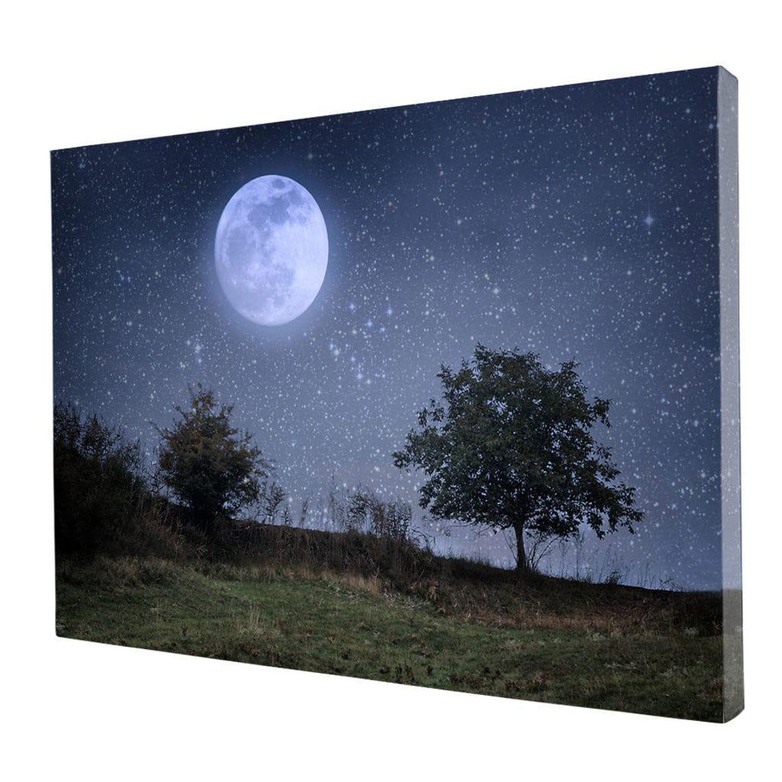 Full Moon Over Night Meadow Starry Sky Serene Moonlight Nature Poster - Image 4