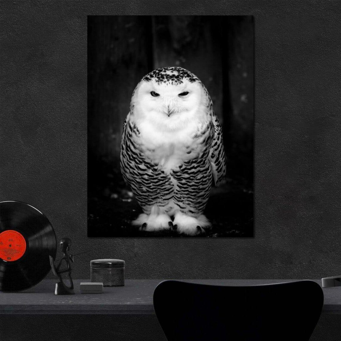 Black And White Snowy Owl Portrait Front View Minimalist Art Poster - Image 2