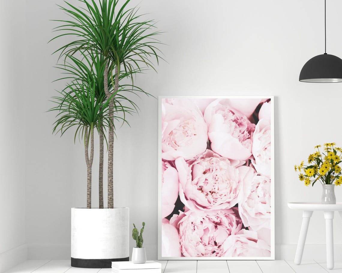 Soft Pink Peonies Close Up Botanical Photograph Wall Decor Poster - Image 2