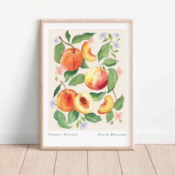 Peach Blossom Botanical Fruit Art Print, Vintage