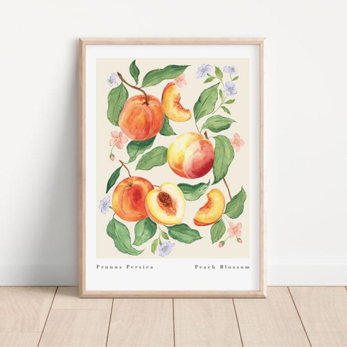 Peach Blossom Botanical Fruit Art Print, Vintage