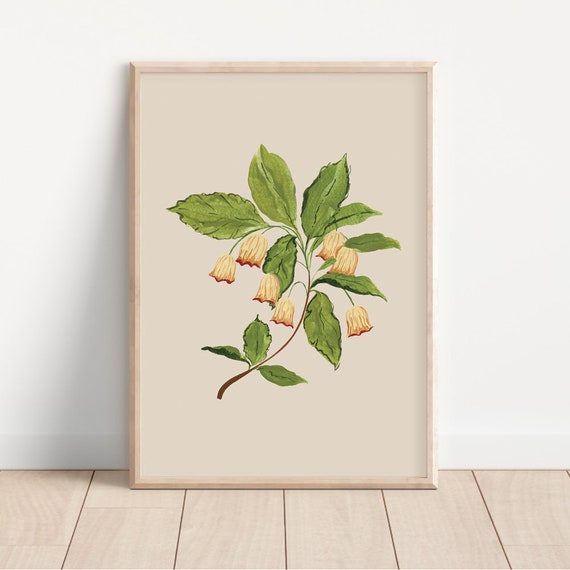 Bell Flower Neutral Botanical Wall Art Print