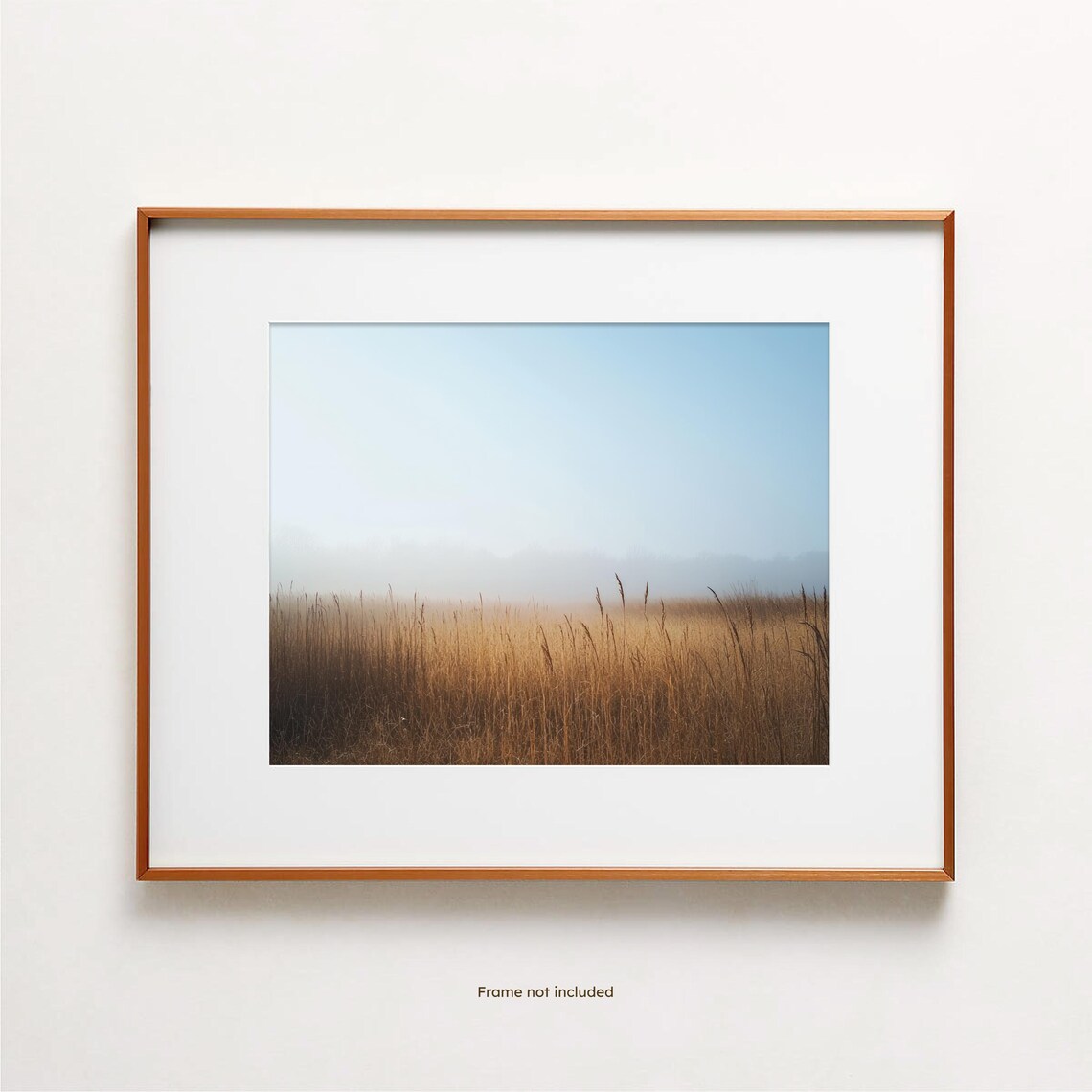 Foggy Field Morning Mist Golden Grass Landscape Photo Art Print