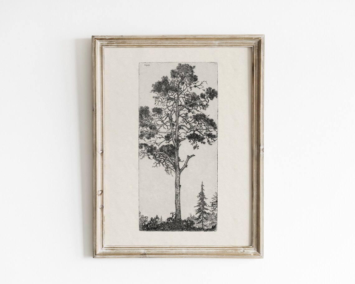 Vintage Botanical Tree Sketch, Forest Art Print - Image 2