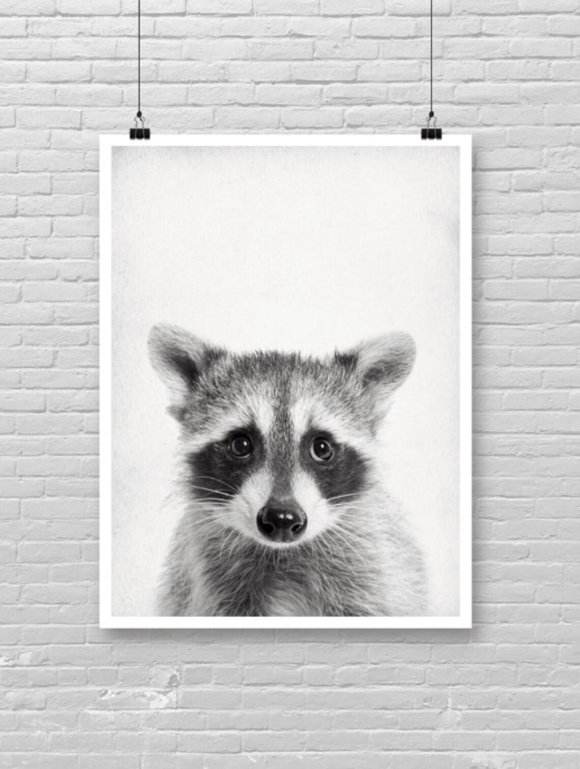 Baby Raccoon Portrait Black and White Cute Animal Art Poster