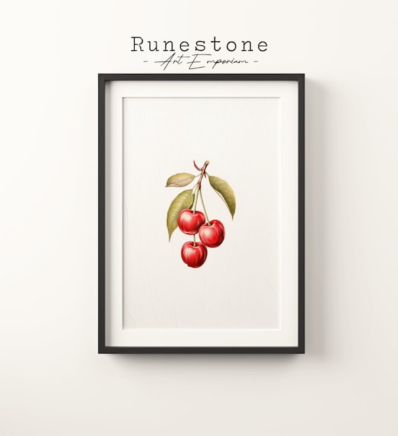 Vintage Red Cherry Botanical Sketch Minimalist Kitchen Fruit Poster