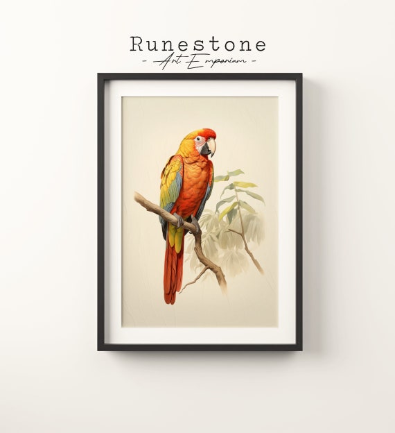 Vintage Red Parrot Sketch Tropical Boho Wall Art Minimalist Bohemian Hand Drawn Exotic Bird Print