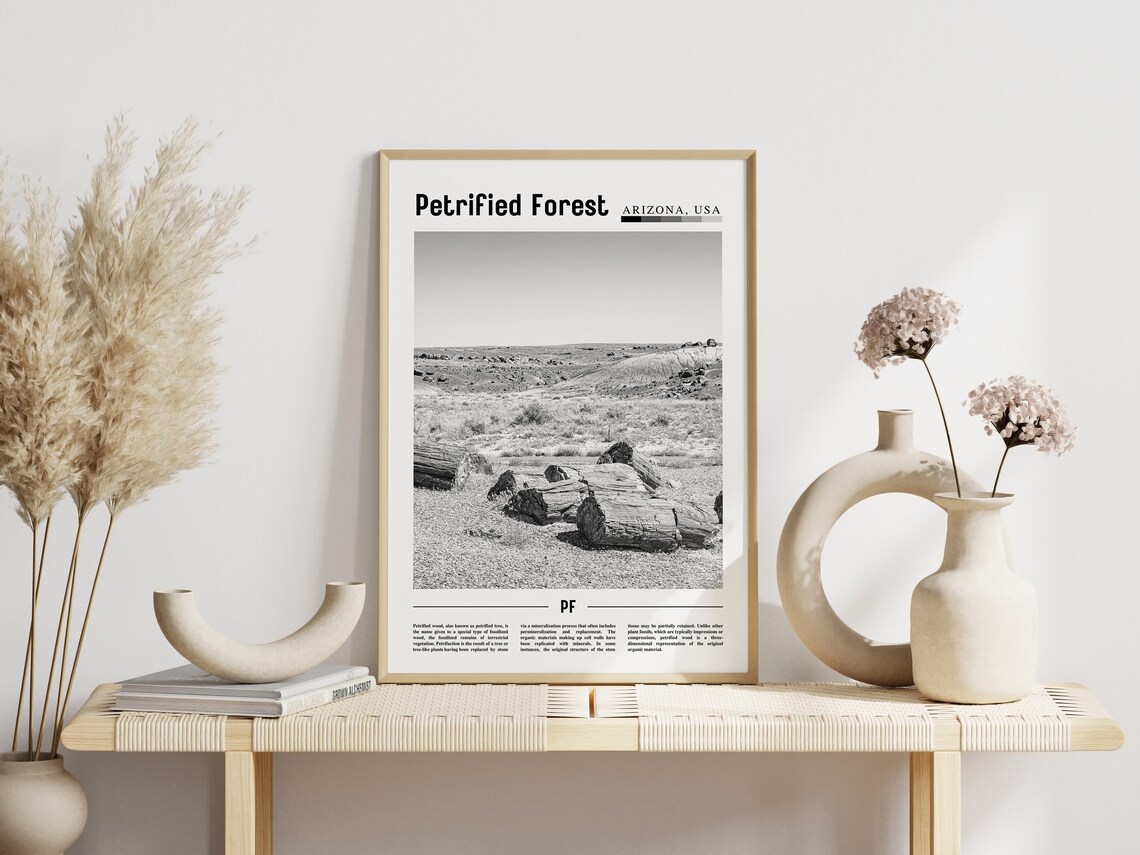 Petrified Forest - Minimal Travel Poster - Image 6