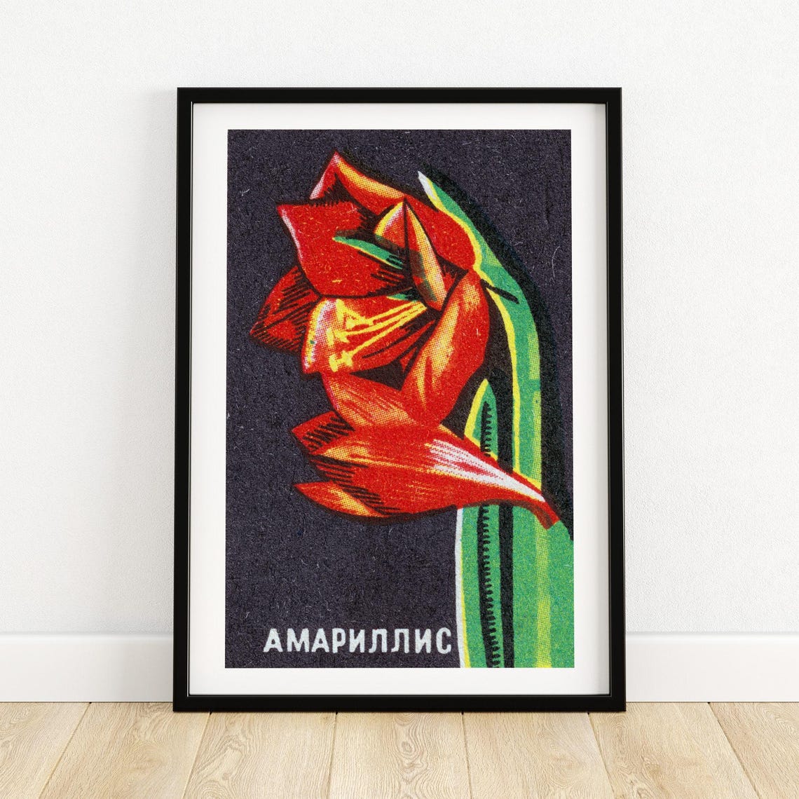 Red Amaryllis Flower Vintage Soviet Botanical Matchbox Poster