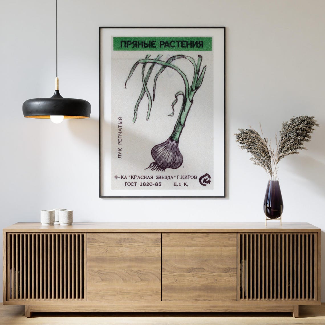 Onion Spicy Plants Soviet Matchbox Vintage Botanical Art Poster - Image 4