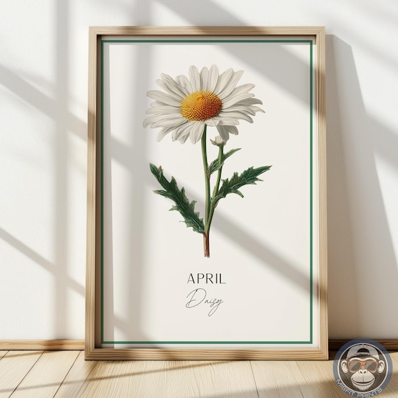 Daisy Art Print April Birth Flower Botanical Wall Decor