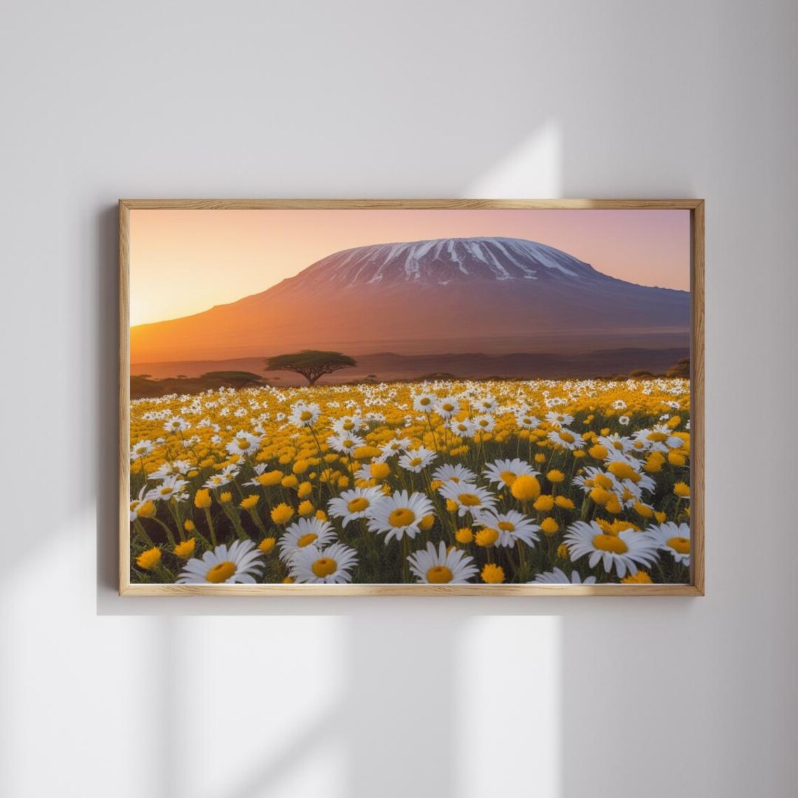 Mount Kilimanjaro Glowing Sunset Daisy Field Nature Poster Art