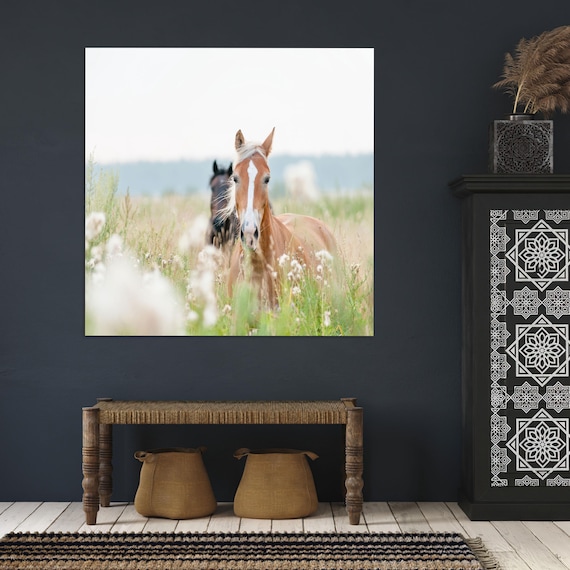 Horse Tempered Glass Animal Coastal Wall Art Two Horses Decor Minimalist