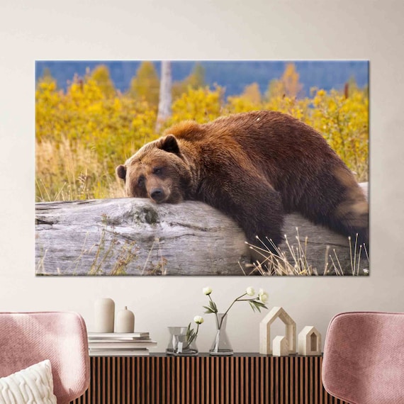 Animal Canvas Print Framed Wall Art Funny Brown Bear Resting On A Log Modern Decor Gifts