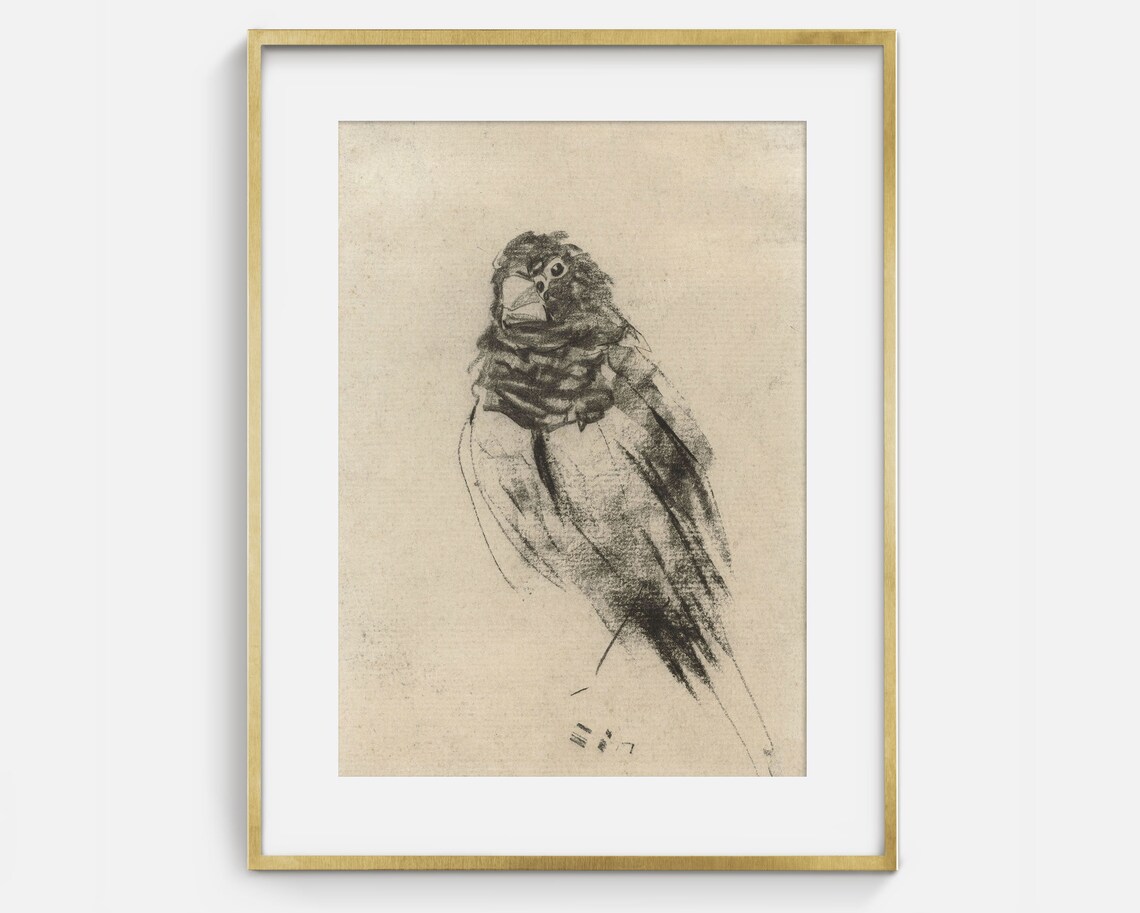 Vintage Bird Drawing, Minimalist Charcoal Art Print - Image 2