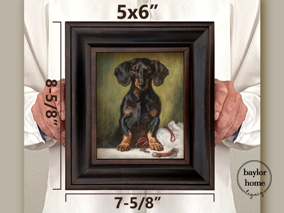 Black And Tan Dachshund Sitting With Leash Vintage Dog Portrait Poster - Image 2