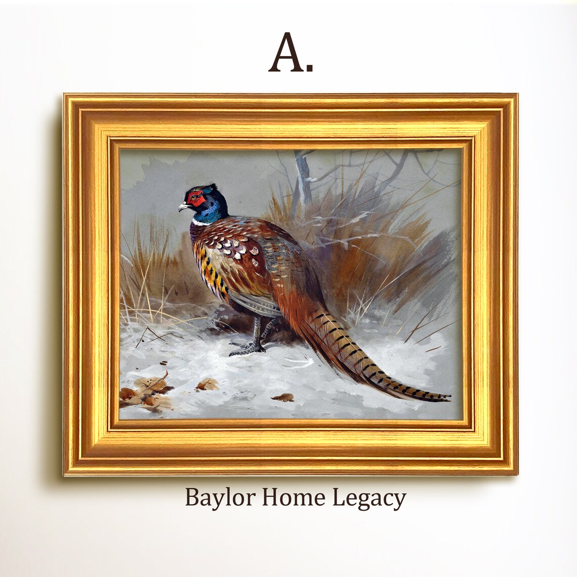Ring-Neck Pheasant Vintage Bird Landscape Art Print - Image 5