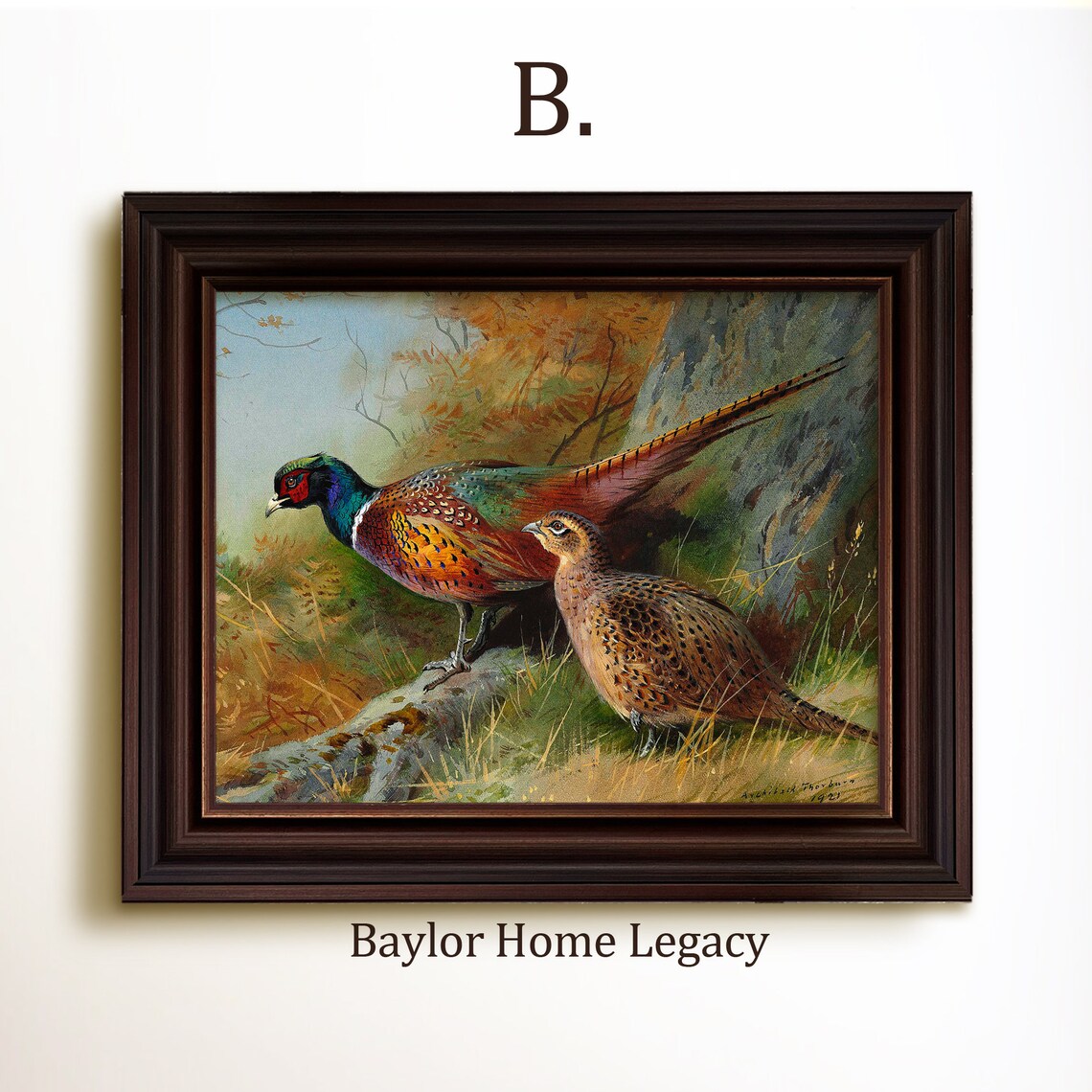 Ring-Neck Pheasants Vintage Landscape Art Print - Image 4
