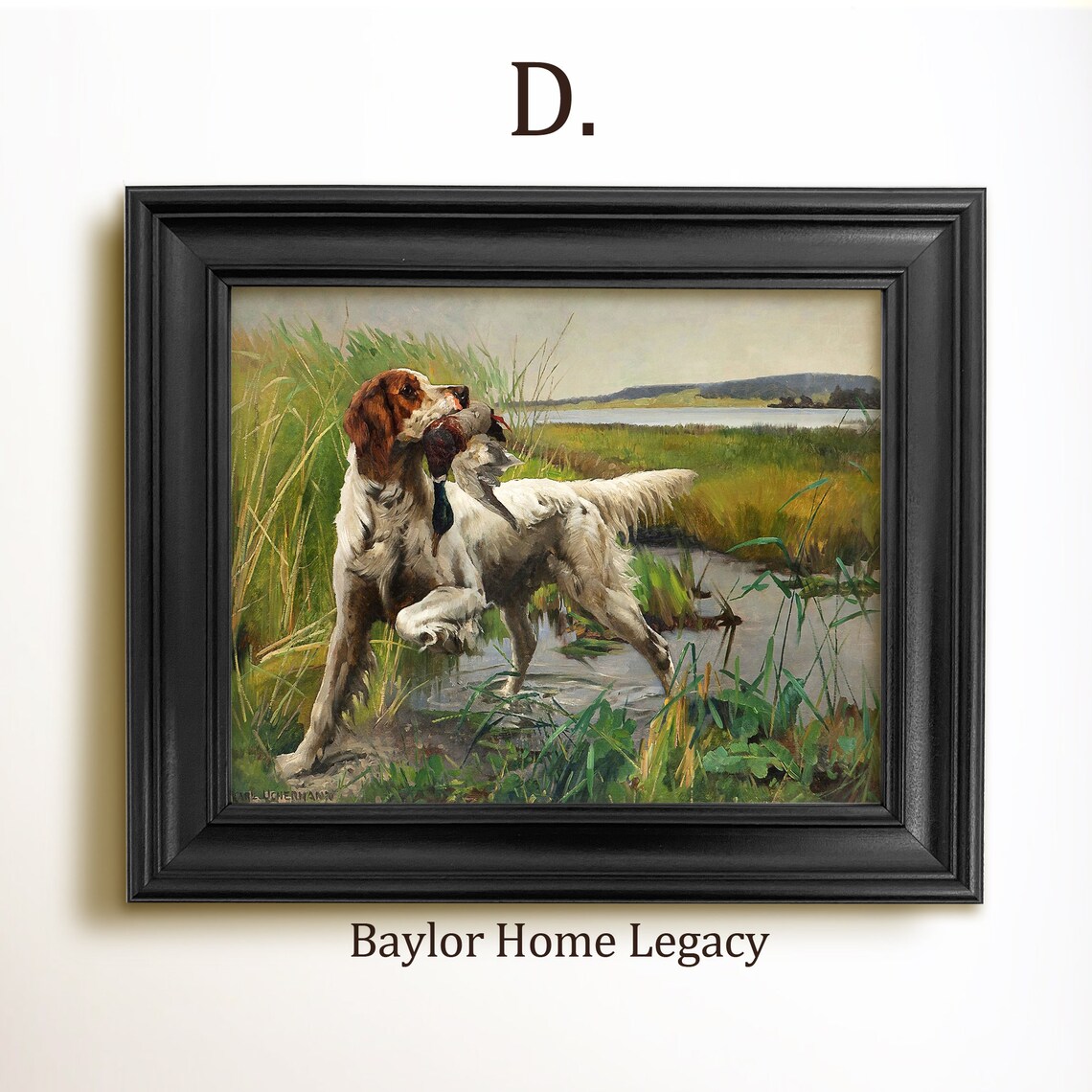 English Setter Retrieving A Mallard Duck, Vintage Oil Print - Image 2