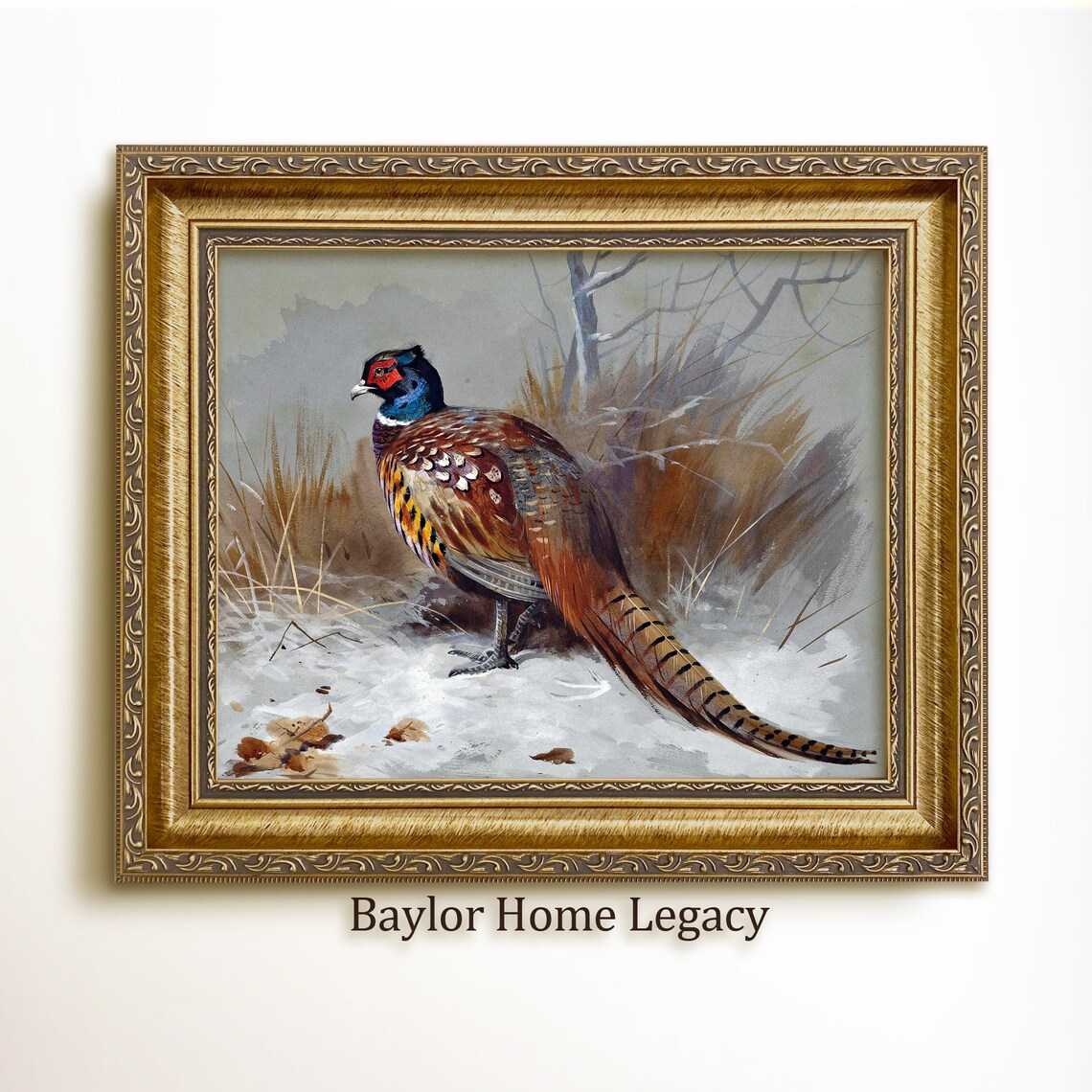 Ring-Neck Pheasant Vintage Bird Landscape Art Print