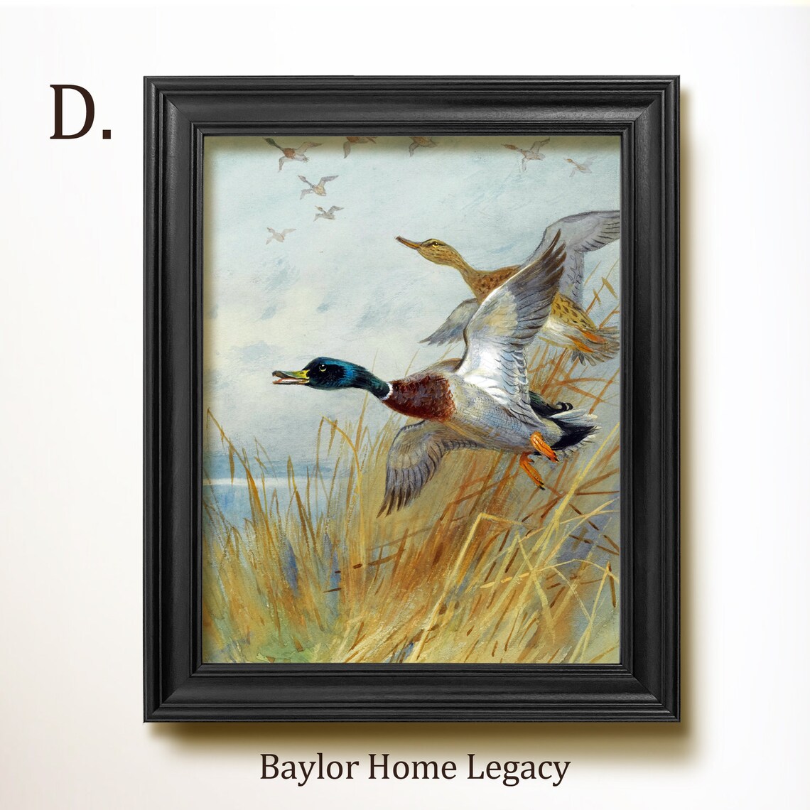 Mallard Ducks in Flight, Vintage Rustic Art Print - Image 3