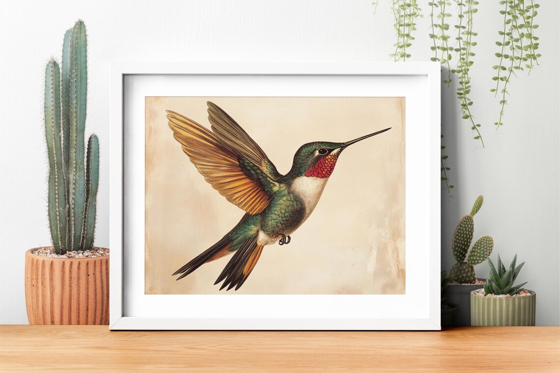 Vintage Hummingbird Art Print, Antique Bird Illustration - Image 4