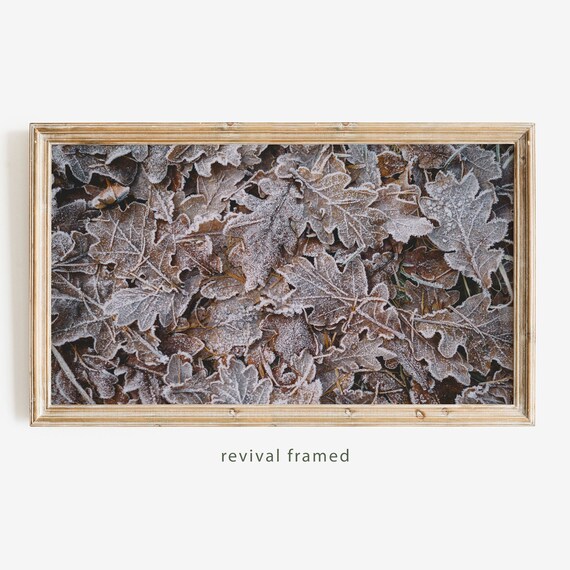 Frosted Oak Leaves Macro Photography Autumn Frost Art Poster