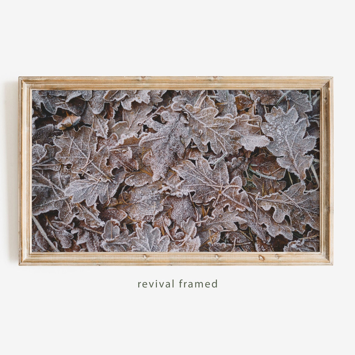 Frosted Oak Leaves Macro Photography Autumn Frost Art Poster