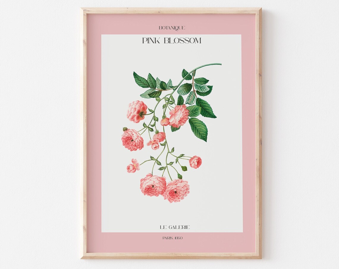 Botanique Pink Blossom Cascading Rose Vintage Gallery Poster - Image 3