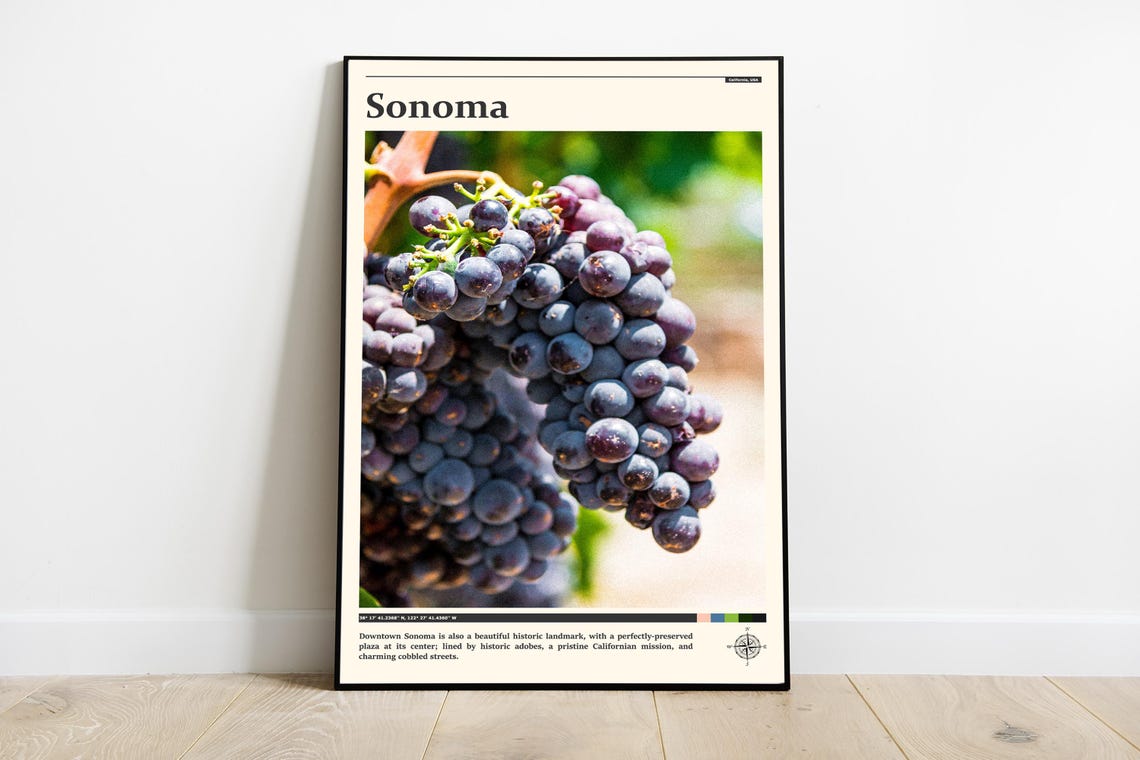 Sonoma California Wine Country Red Grapes Vineyard Photography Poster
