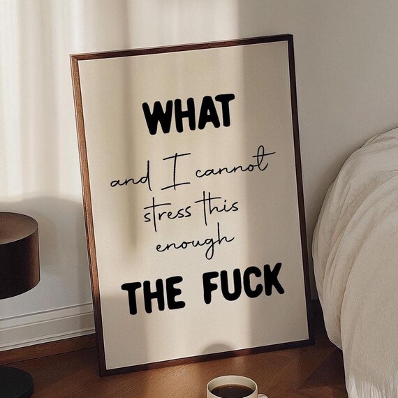 What And I Cannot Stress This Enough Funny Swear Quote Poster