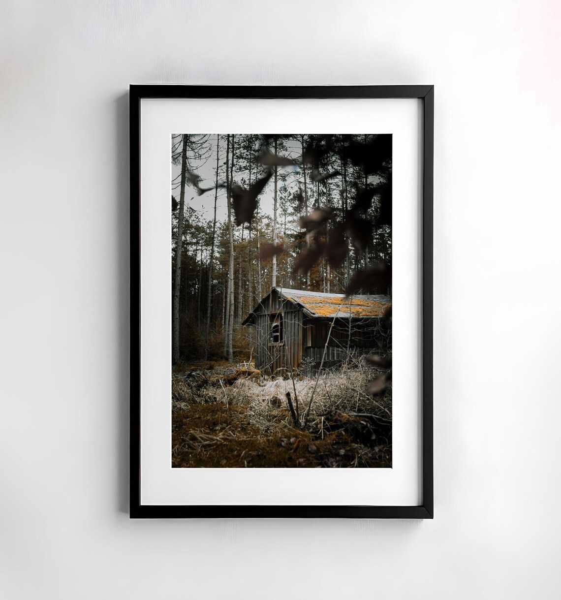 Abandoned Wooden Cabin Deep in a Dark Pine Forest Photo Poster