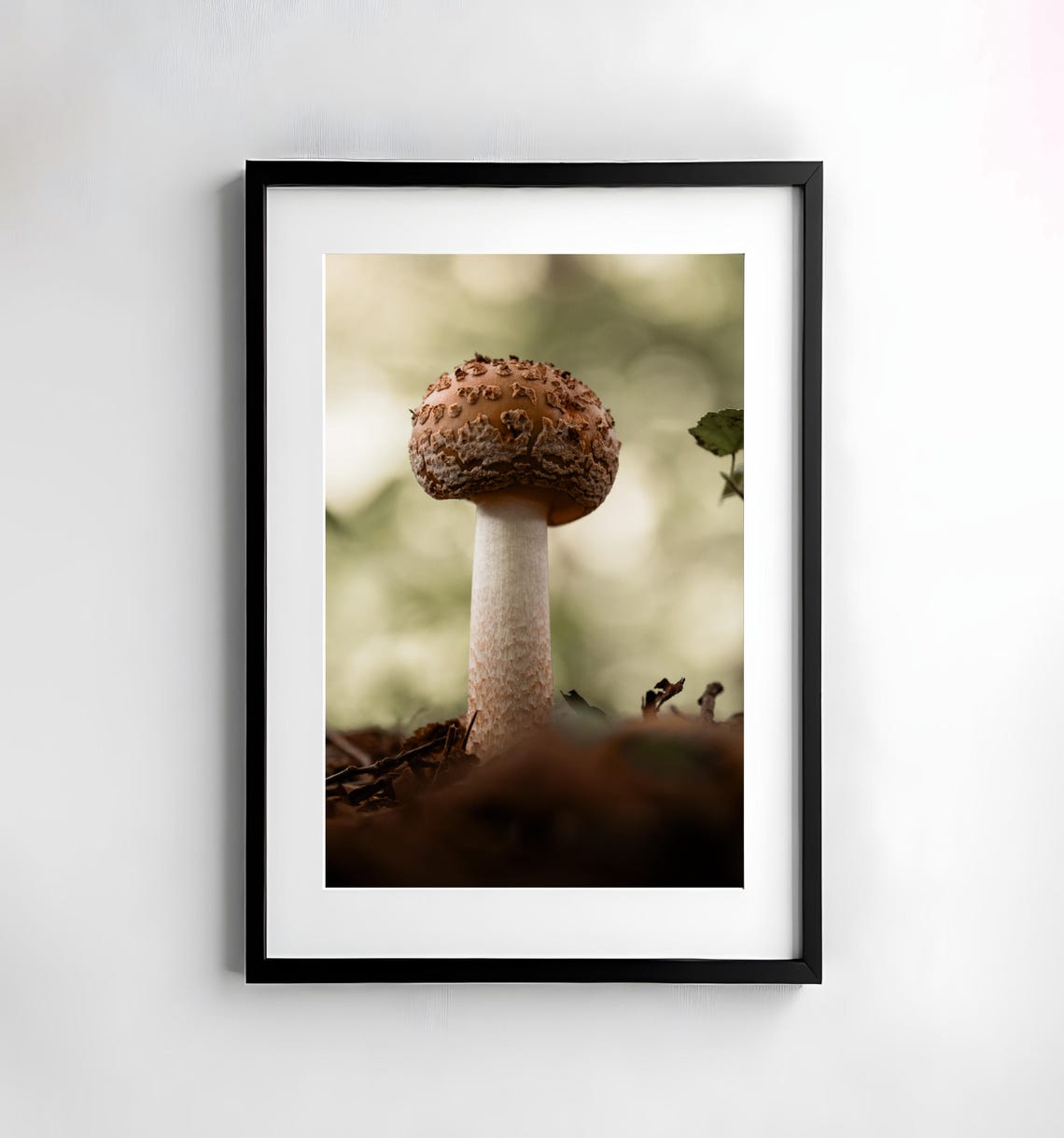 Speckled Brown Mushroom Emerging from the Woodland Floor Poster