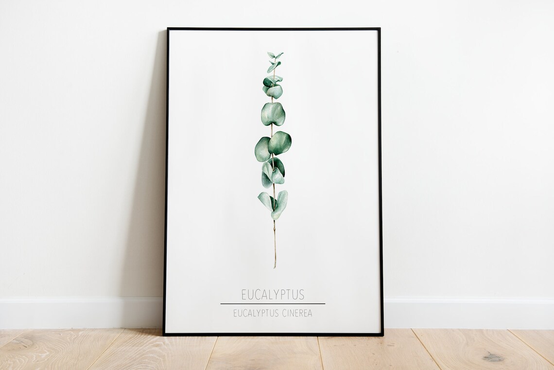 Eucalyptus Poster Print, Botanical Nature Wall Art