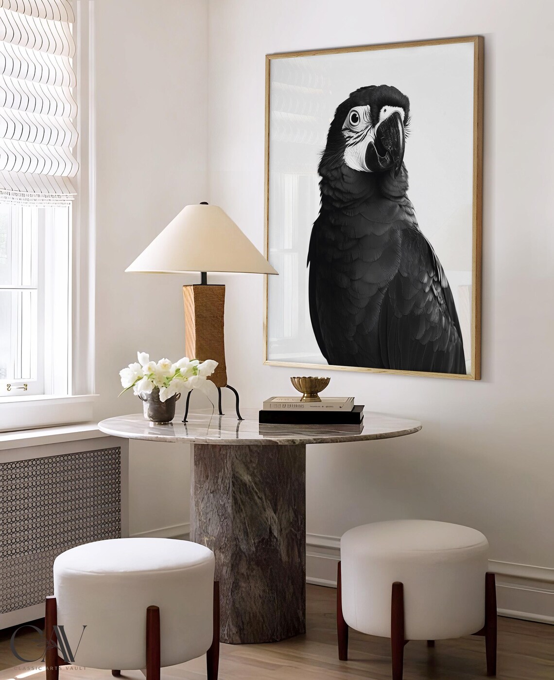 Black and White Macaw Parrot Close Up Portrait Photography Wall Art - Image 4