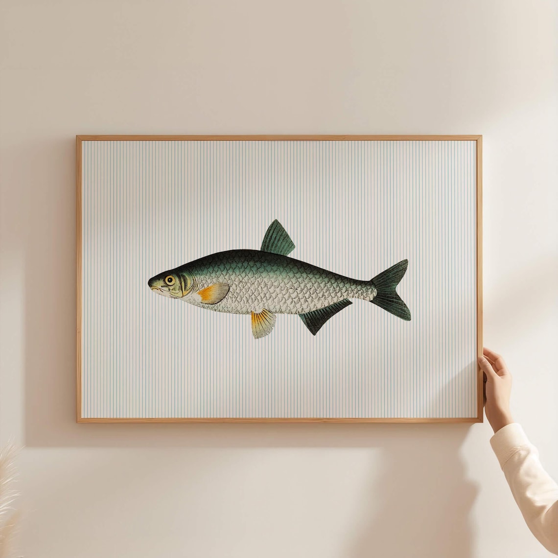 Vintage Trout Style Fish With Orange Fins on Blue Pinstripe Poster