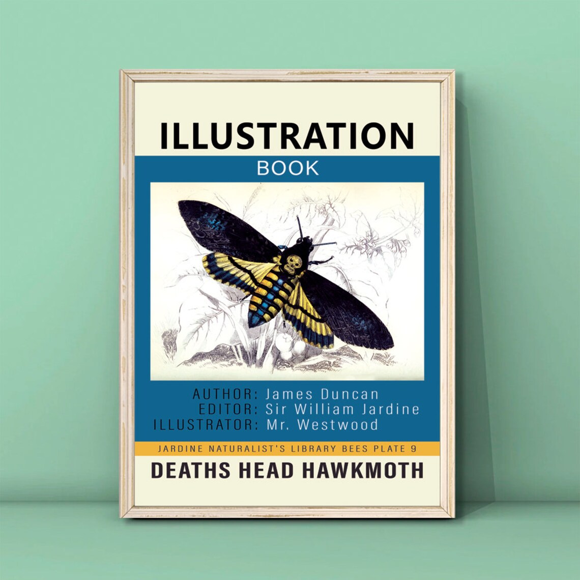 Deaths Head Hawkmoth Vintage Natural History Illustration Poster Moth Collector