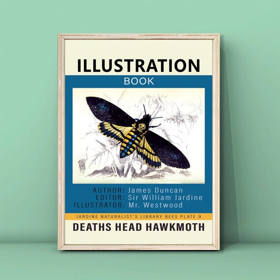 Deaths Head Hawkmoth Vintage Natural History Illustration Poster Moth Collector