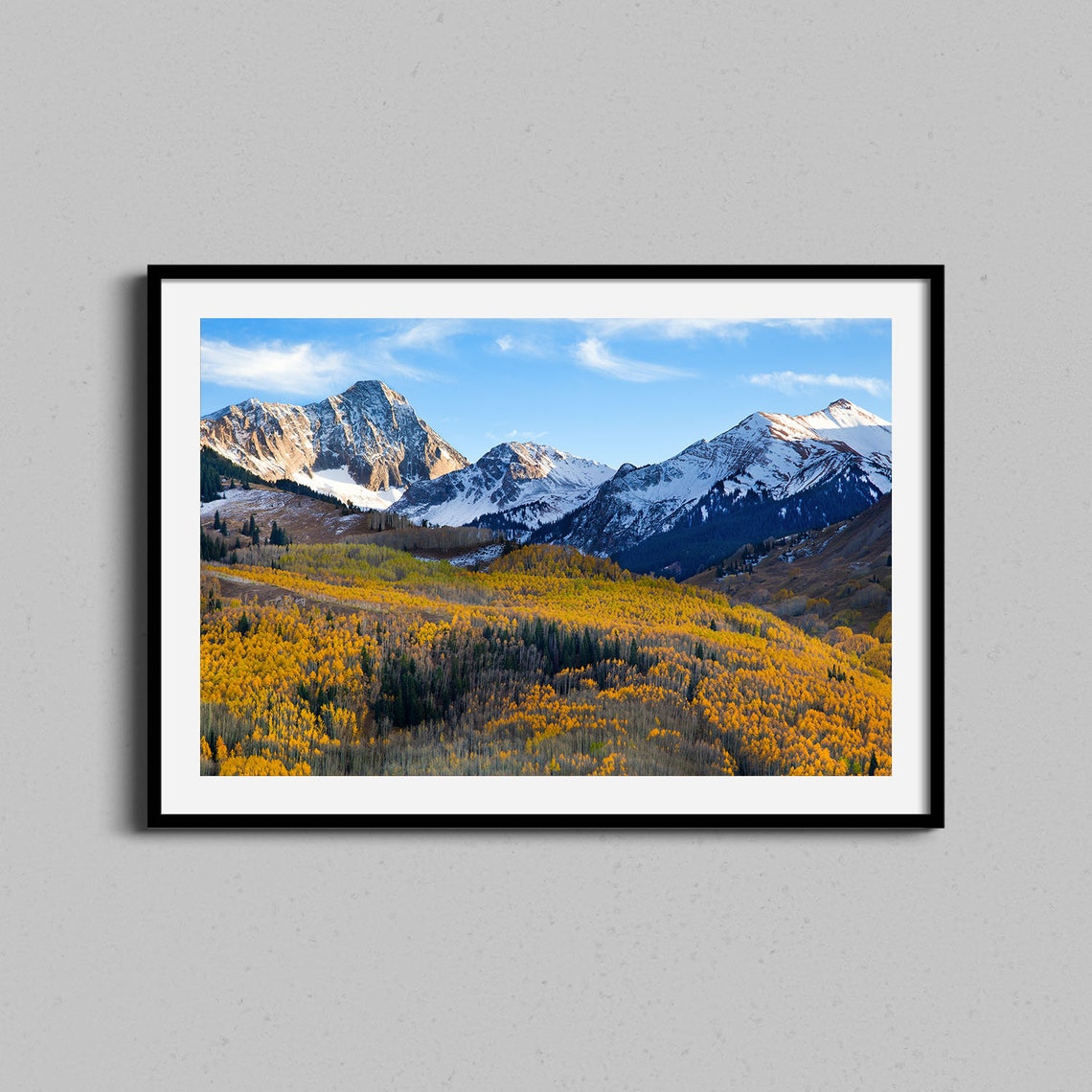 Colorado Autumn Aspen Forest Snowy Mountain Peaks Photo Poster