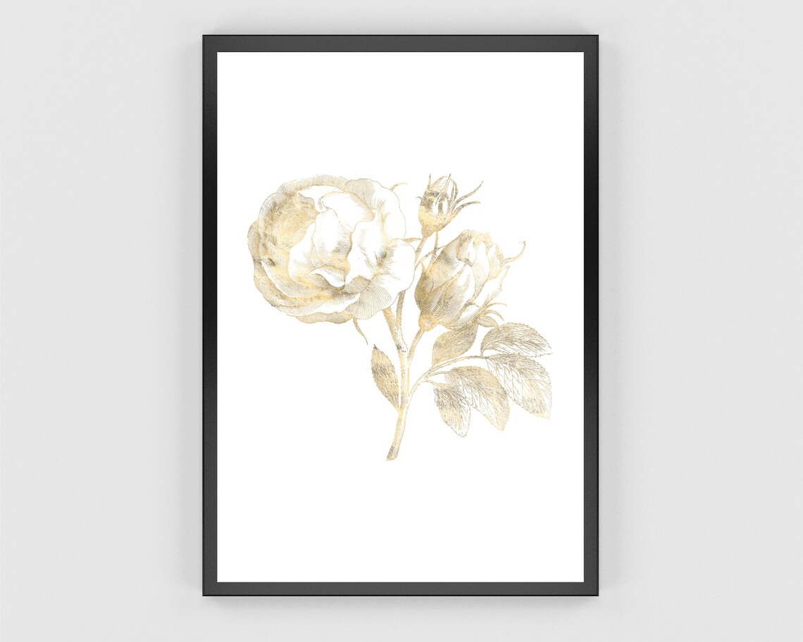 Rose Art Print, Vintage Botanical Floral Poster - Image 3