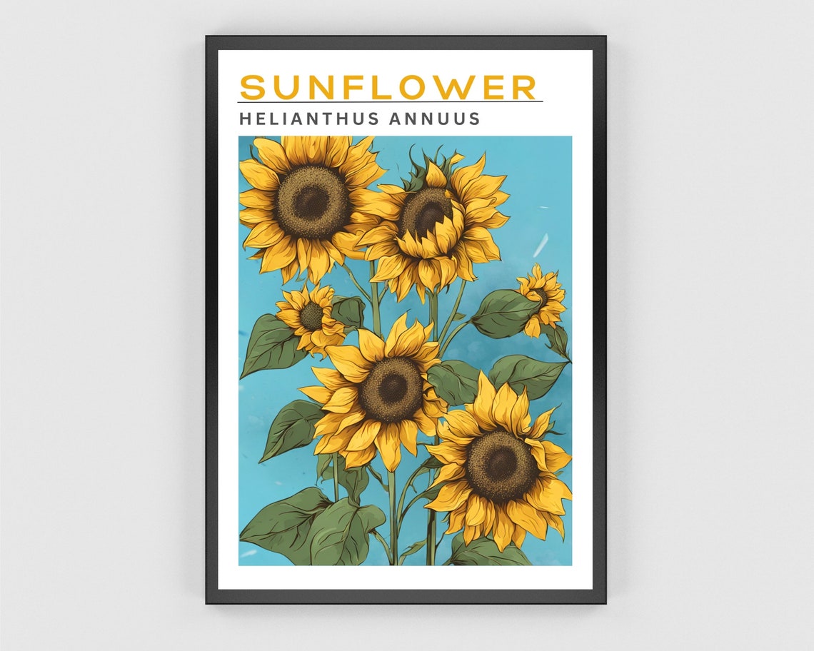 Sunflower Helianthus Annuus Botanical Teal Vintage Chart Poster - Image 3
