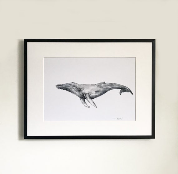 Humpback Whale Art Print