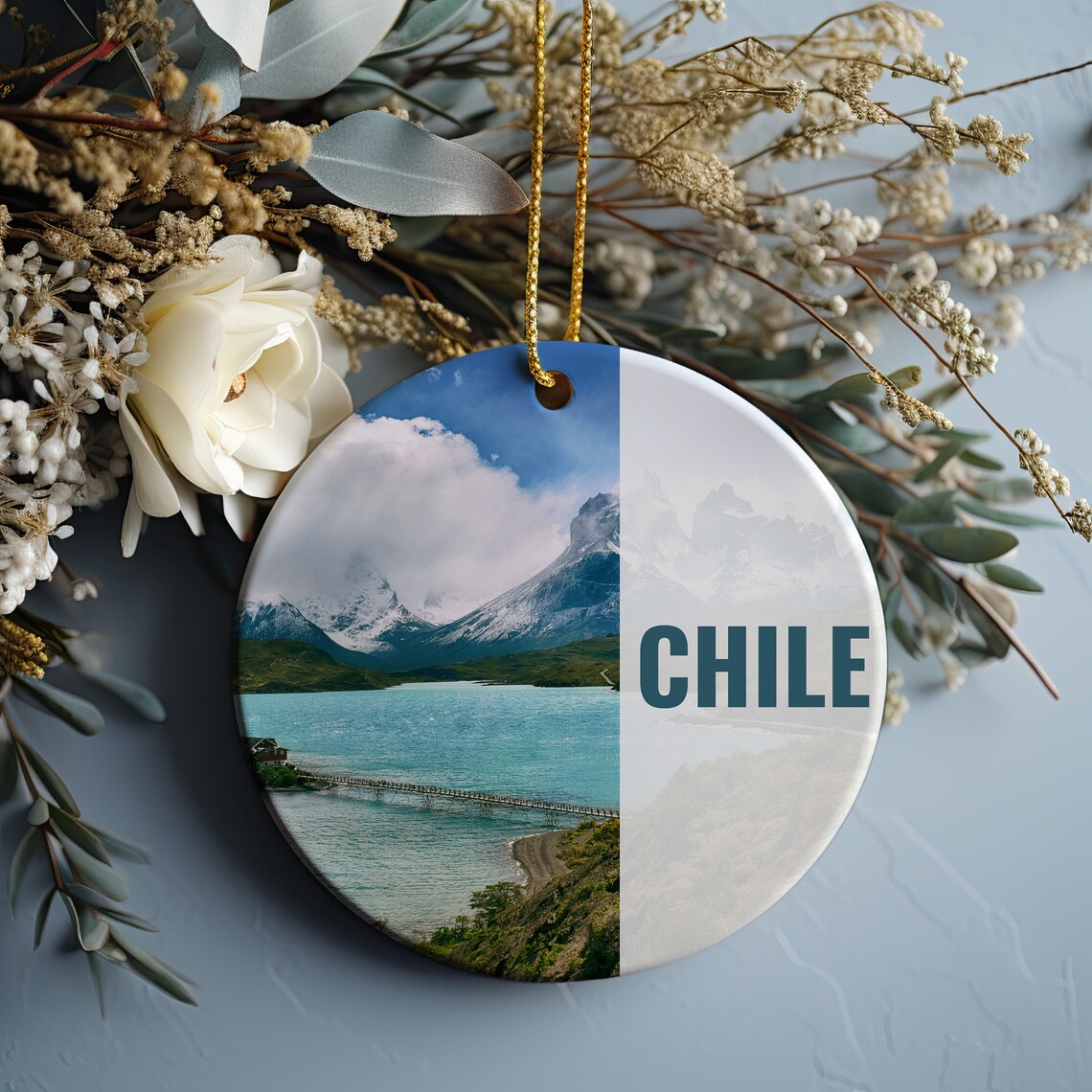 Chile Snowy Mountain Lake Photo Round Travel Souvenir Wall Art