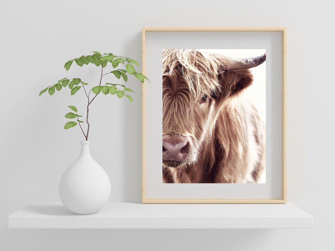 Cow Illustration - Farm Animal Art Print - Image 2